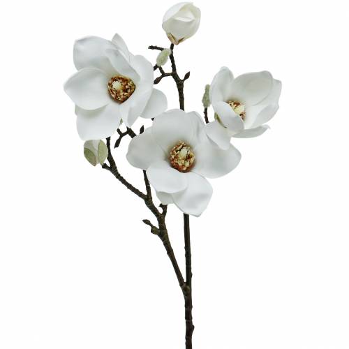 Produkt Gałąź magnolii biała Gałąź dekoracyjna Sztuczny kwiat magnolii