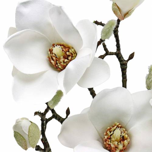 Produkt Gałąź magnolii biała Gałąź dekoracyjna Sztuczny kwiat magnolii
