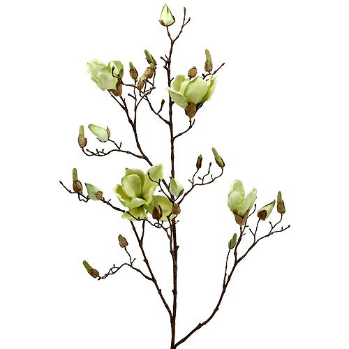 Floristik24 Gałązka magnolii zielona L110cm