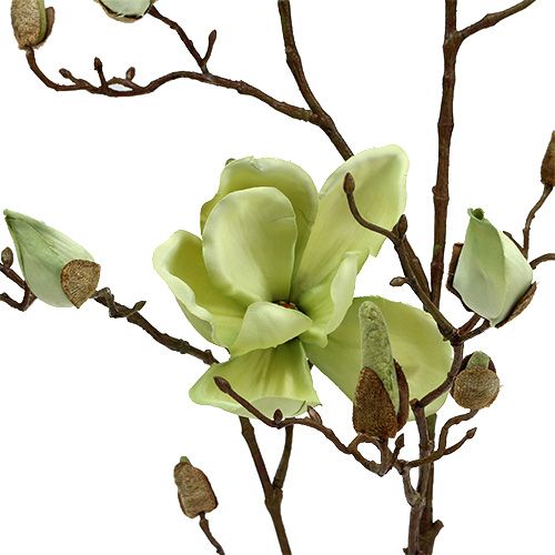 Produkt Gałązka magnolii zielona L110cm