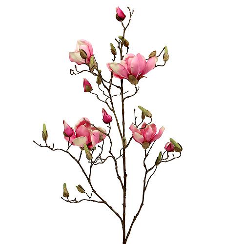Floristik24 Gałązka magnolii fioletowa 110cm 1szt.