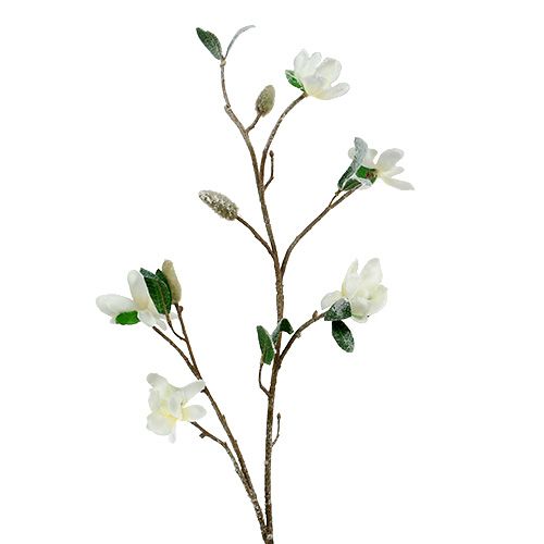 Floristik24 Gałązka magnolii biała L 82cm ze śniegiem