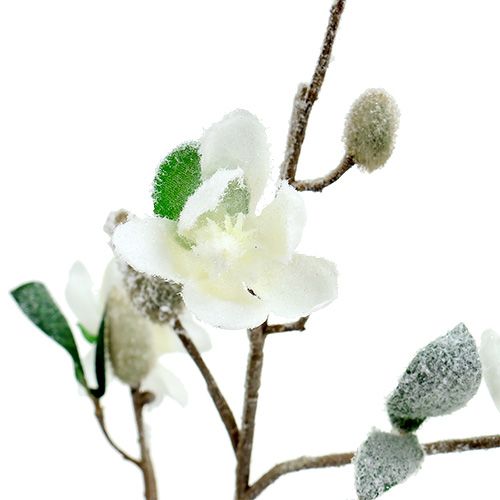 Produkt Gałązka magnolii biała L 82cm ze śniegiem