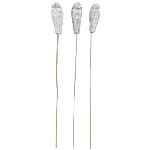Produkt Strąki mahoniu sucha dekoracja naturalna biel 45cm 50 szt