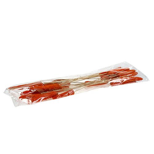 Produkt Kolby kukurydzy na paluszkach pomarańczowe 20 szt