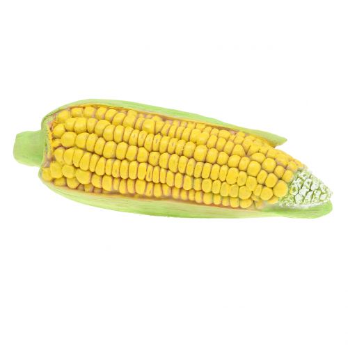 Floristik24 Corncob Art Warzywa 20cm