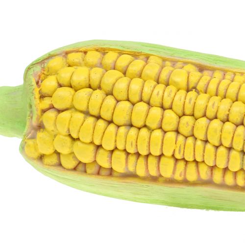 Floristik24 Corncob Art Warzywa 20cm
