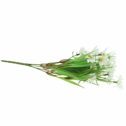 Floristik24 Bukiet stokrotek z ozdobną trawą 37cm