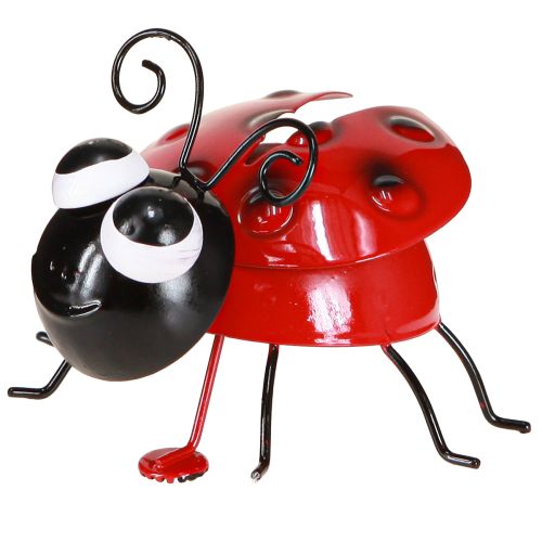 Produkt Dekoracja metalowa Biedronka Pszczoła z magnesem Różne 9,5 cm 2 szt.