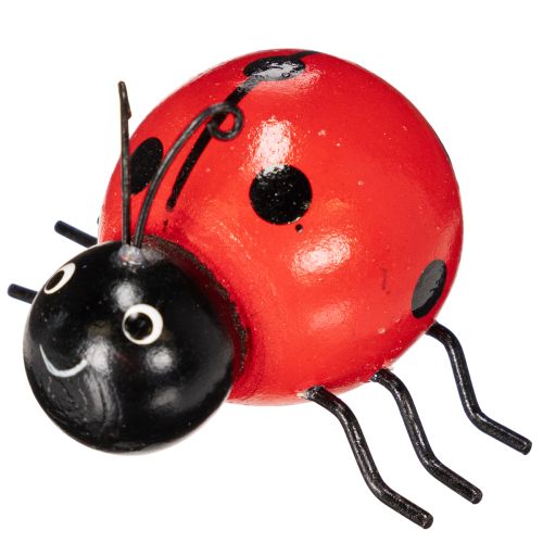 Produkt Drewniane biedronki/robaczki przynoszące szczęście jako urocza dekoracja do domu, 5 cm, 6 sztuk