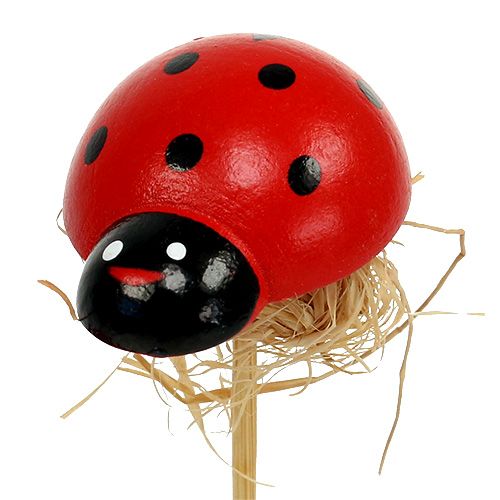Produkt Biedronka na patyczku z dekoracją sizalową 3,5cm 24 szt