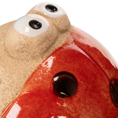 Produkt Patyczki ogrodowe Biedronki, dekoracyjny element dekoracyjny do ogrodu, 25 cm, 4 sztuki