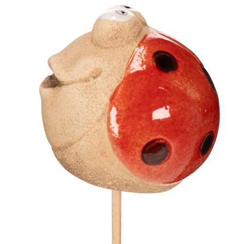 Produkt Patyczki ogrodowe Biedronki, dekoracyjny element dekoracyjny do ogrodu, 25 cm, 4 sztuki