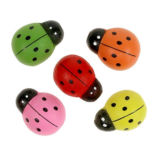 Produkt Biedronki kolorowe 2,5cm 60 sztuk