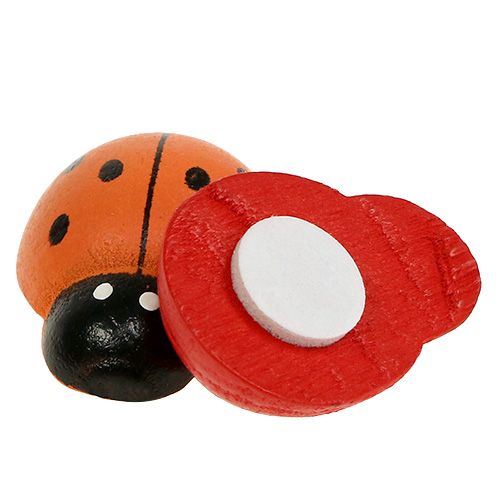 Produkt Biedronki kolorowe 2,5cm 60 sztuk