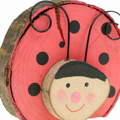 Floristik24 Biedronka Red Wood Ø7cm 6szt.