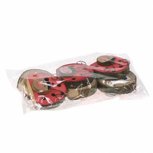 Floristik24 Biedronka Red Wood Ø7cm 6szt.