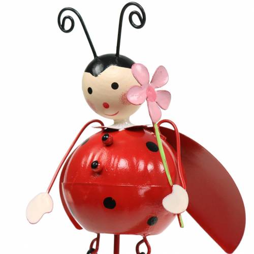 Floristik24 Wtyczka dekoracyjna biedronka metalowa H35cm 3szt