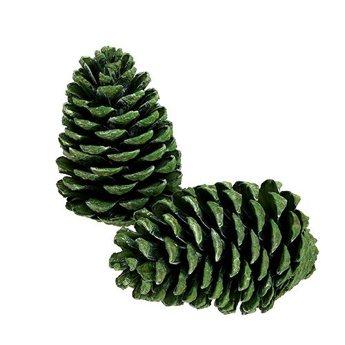Produkt Szyszki Maritima 10cm - 16cm zielone matowe 12 szt