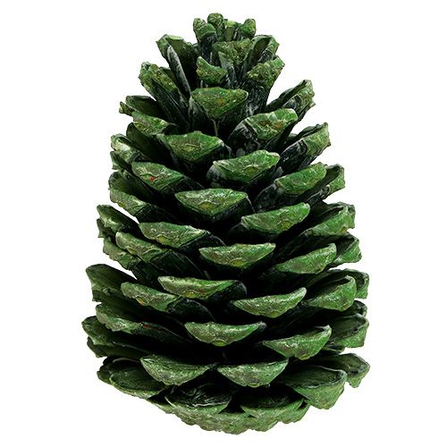 Produkt Szyszki Maritima 10cm - 16cm zielone matowe 12 szt