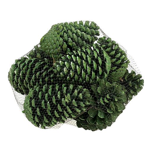 Produkt Szyszki Maritima 10cm - 16cm zielone matowe 12 szt