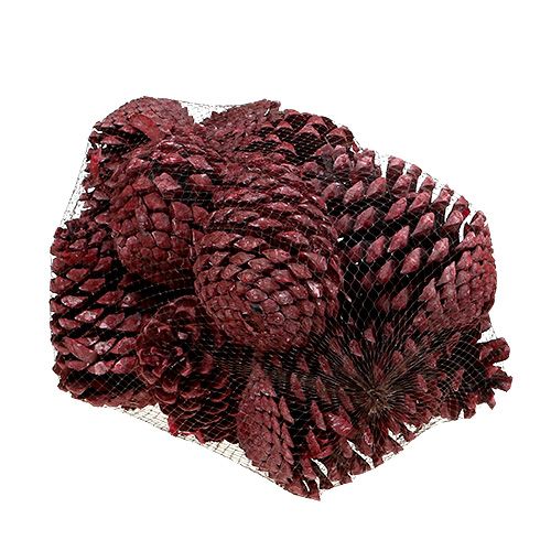 Produkt Szyszki Maritima 10-15cm czerwone matowe 12 szt