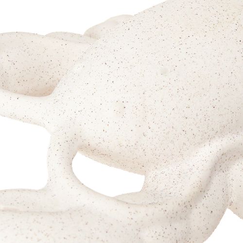 Produkt Dekoracja morska Ceramiczna figurka Homar Biały 26,5×13×5cm