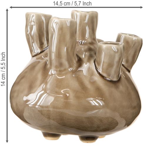 Produkt Dekoracja wazonu marynistycznego koralowy wzór brązowy Ø14,5cm wys.14cm