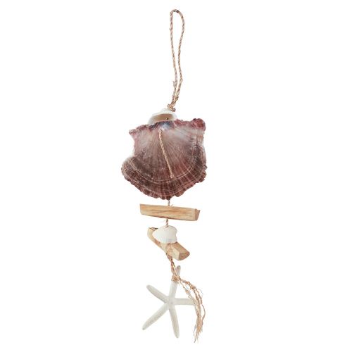 Produkt Morski wieszak dekoracyjny muszla rozgwiazda Ø10–12cm 40cm