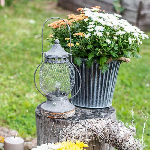 Floristik24 Metalowy Lampion, Lampa LED, Shabby Chic Ø16cm H33,5cm