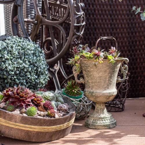 Floristik24 Goblet metalowy Moss Green Beige Ø16cm H24cm