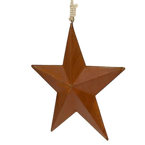 Floristik24 Metalowa gwiazda do zawieszenia na rdzy 21cm