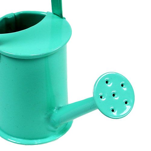 Floristik24 Mini konewki pastelowe tyłek. Ø4cm 12szt.