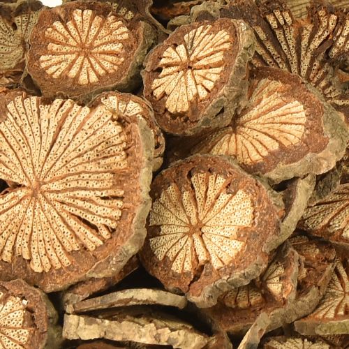 Produkt Miniaturowe drewniane krążki dekoracyjne z orzechów betelowych z usłojeniem 1-4,5 cm 300 g