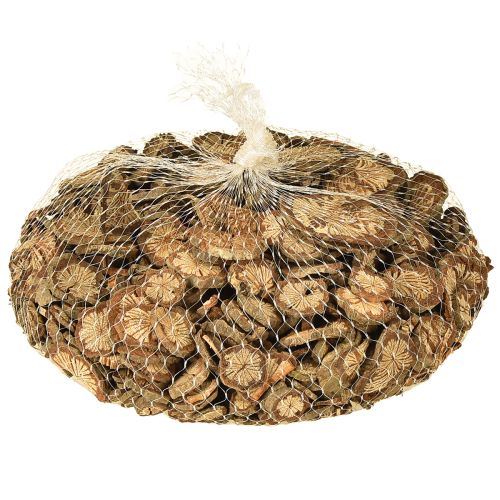 Produkt Miniaturowe drewniane krążki dekoracyjne z orzechów betelowych z usłojeniem 1-4,5 cm 300 g