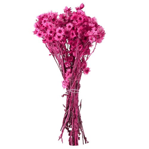 Produkt Mini Kwiat Słomy Różowy Suszony Kwiat Kwiat Rock H20cm 15g