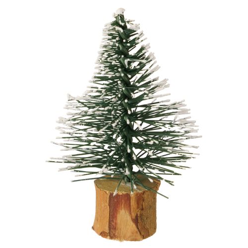 Floristik24 Mini choinki ośnieżony zimowy las Ø5cm wys.8cm 12 szt.