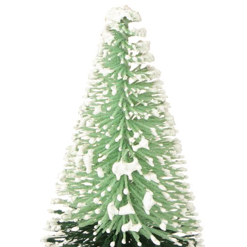 Floristik24 Mini choinka sztuczna ze śniegiem Ø5cm H10cm 6 szt.