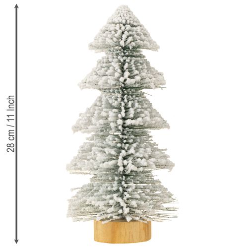 Floristik24 Mini choinka podświetlana LED jodła ze śniegiem 28cm