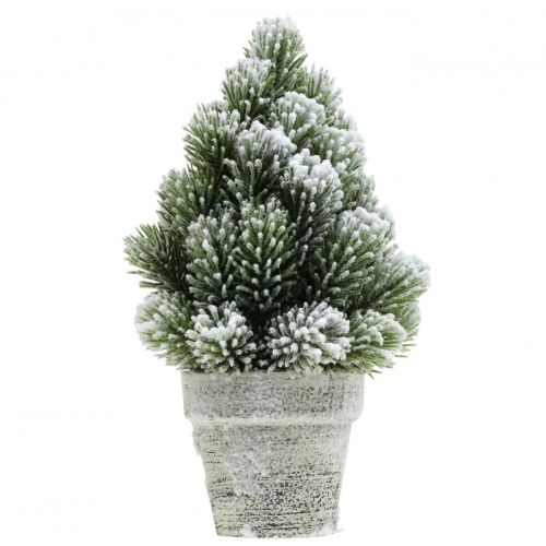 Floristik24 Mini choinka w doniczce sztucznie naśnieżana Ø14cm W24cm