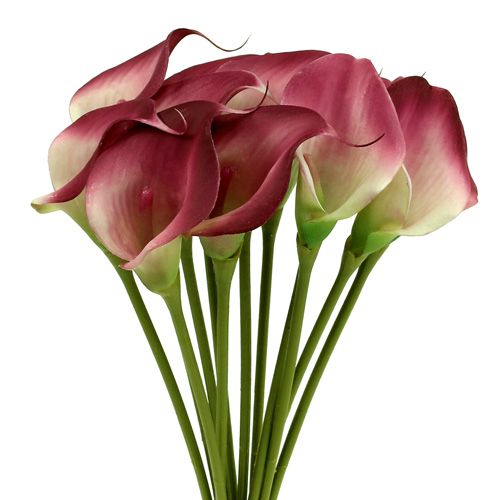 Produkt Mini kalia sztuczna 28cm Erika, kremowa 12 szt