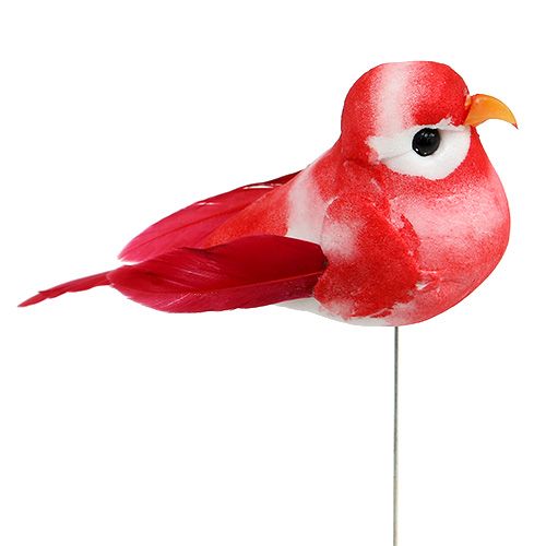 Floristik24 Ptaszki mini różne 7cm 12szt.