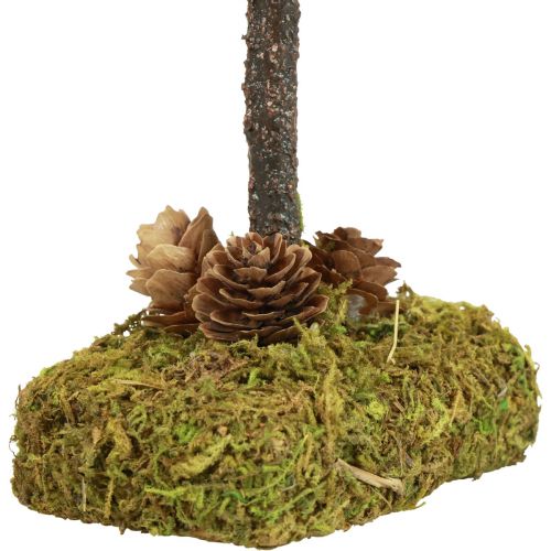 Floristik24 Mini choinka dekoracja stołu mech wys. 30,5 cm