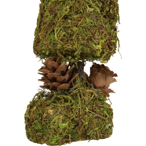 Floristik24 Mini choinka sztuczna dekoracja stołu mech W18cm