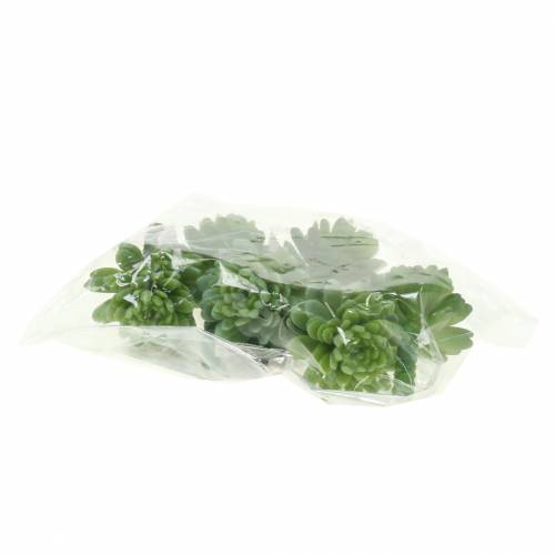 Floristik24 Mini - soczyste 6,5cm 6szt