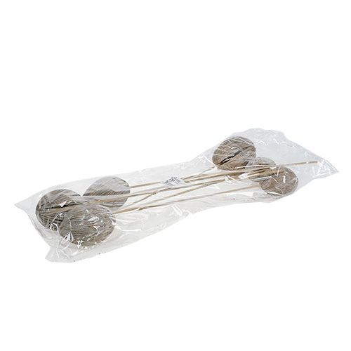 Produkt Mintolla kulka na patyku mix bielona 6 szt