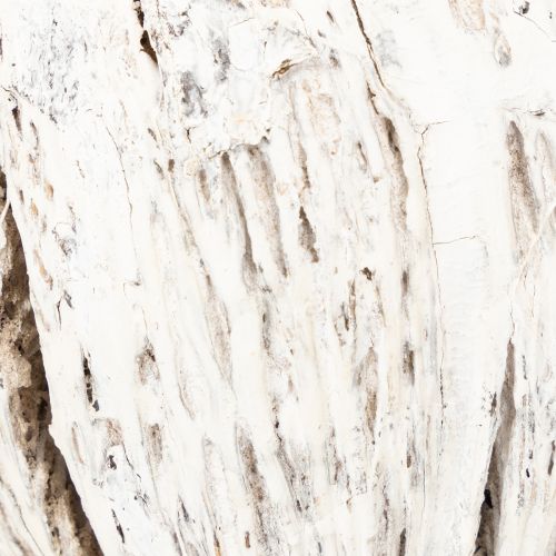 Produkt Mintolla kulka na patyku mix bielona 6 szt