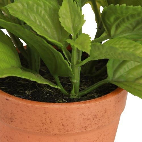 Produkt Mięta w doniczce Sztuczne zioła Sztuczne rośliny 18cm 2szt