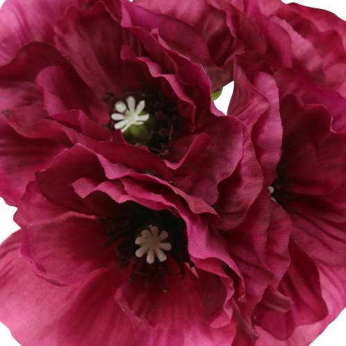 Floristik24 Mak fioletowy 29 cm 6 sztuk