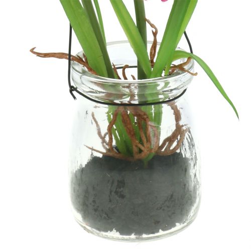 Floristik24 Kwiat maku w szkle do powieszenia różowy H22cm